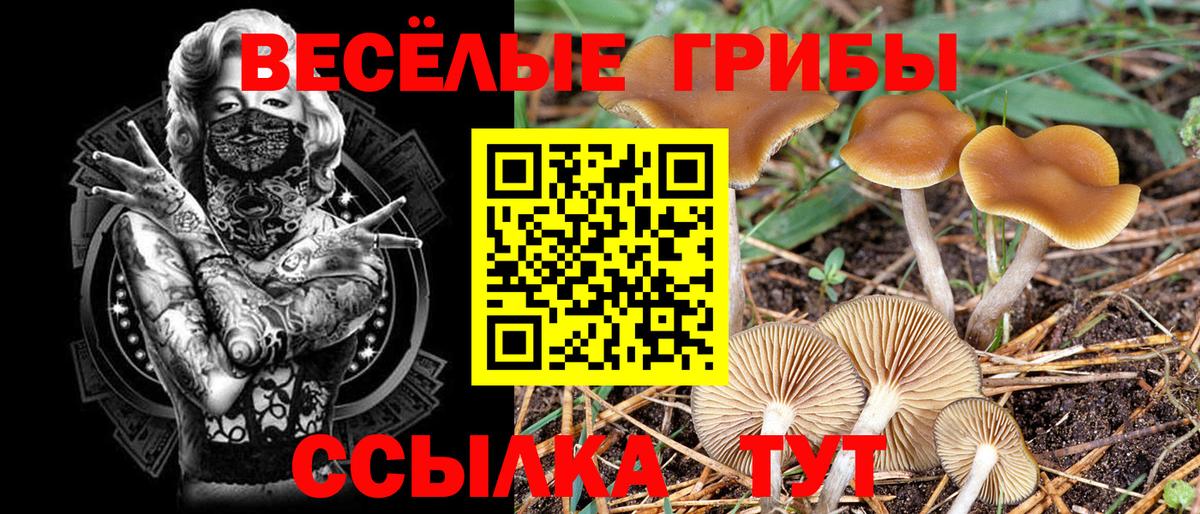 Галлюциногенные грибы Magic Shrooms Уссурийск