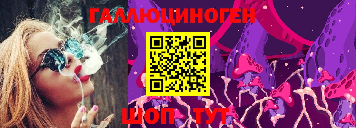 Галлюциногенные грибы Psilocybine cubensis  Вход с VPN  Уссурийск 